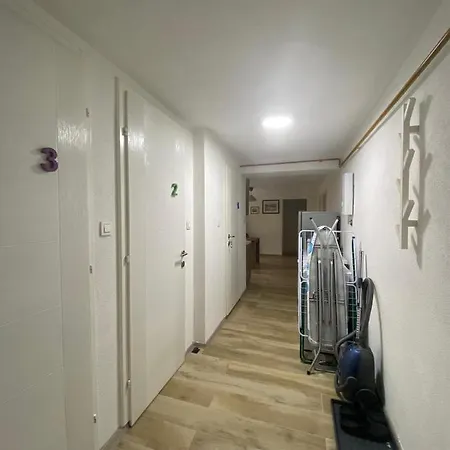 Hidden Gem Shared Apartment, Suite